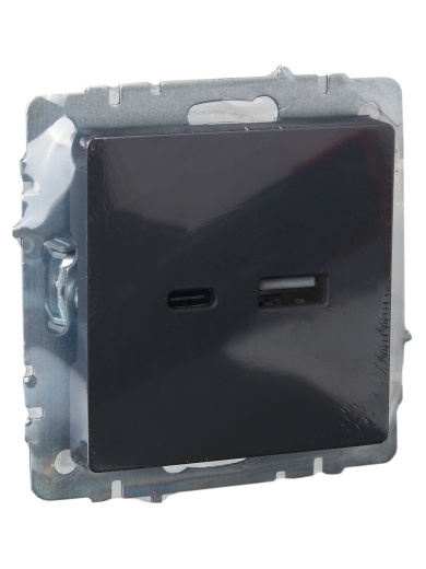 BRITE Розетка USB A+C 18Вт РЮ11-1-БрГ графит IEK