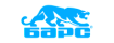 Барс Барс